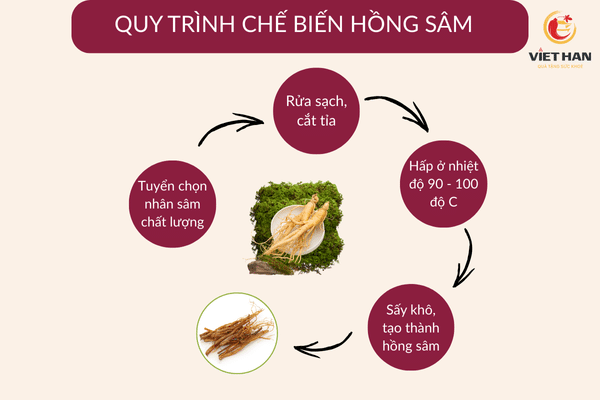 Quy trình chế biến hồng sâm