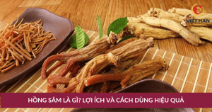 Hồng Sâm là gì