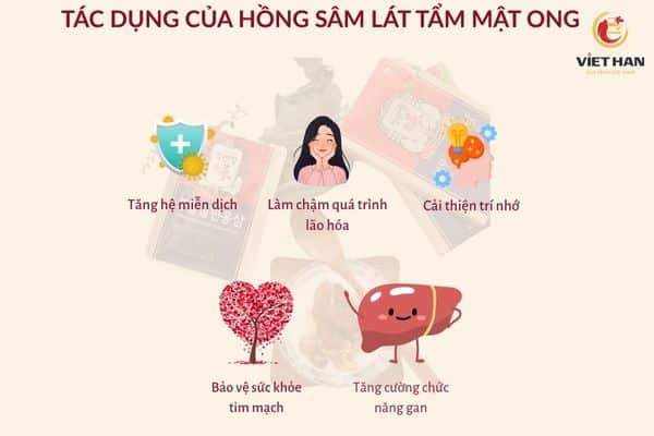 Hồng sâm lát tẩm mật ong có tác dụng gì