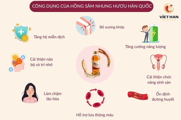Hồng sâm nhung hươu Hàn Quốc có tác dụng gì