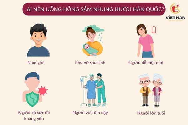 Ai nên sử dụng hồng sâm nhung hươu Hàn Quốc
