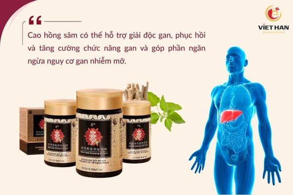 Công dụng của cao hồng sâm