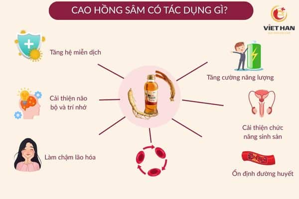 Cao hồng sâm có tác dụng gì?