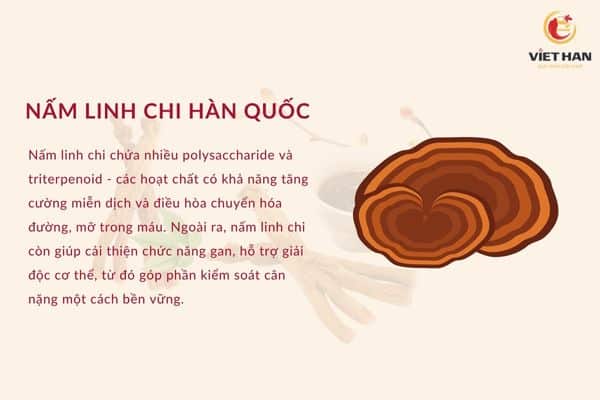 Tác dụng giảm cân của nấm linh chi Hàn Quốc