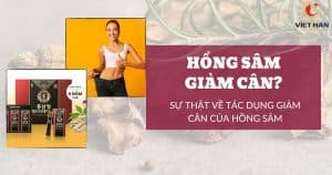 Giảm cân hồng sâm và tác dụng của hồng sâm trong giảm cân