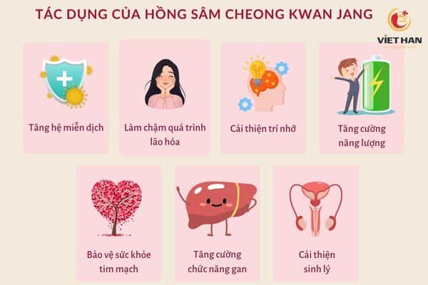 Hồng sâm Cheong Kwan Jang có gì đặc biệt?