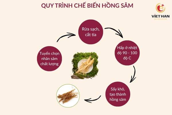 Quy trình chế biến hồng sâm từ nhân sâm tươi
