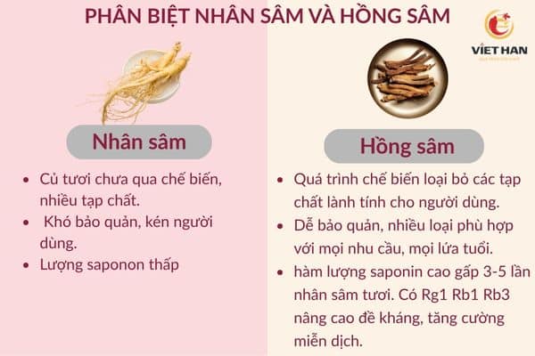 Hồng sâm khác gì với nhân sâm