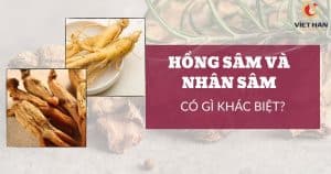 Hồng sâm khác gì với nhân sâm? Cách phân biệt chính xác nhất