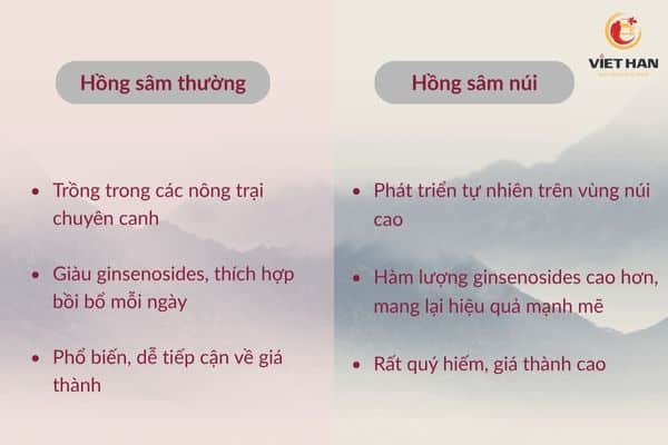 Phân biệt hồng sâm núi và hồng sâm thường