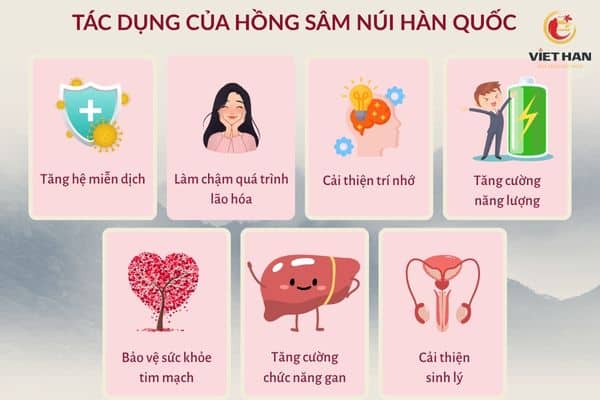 Tác dụng của hồng sâm núi Hàn Quốc