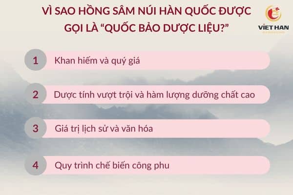 Vì sao hồng sâm núi Hàn Quốc được gọi là "quốc bảo dược liệu?"