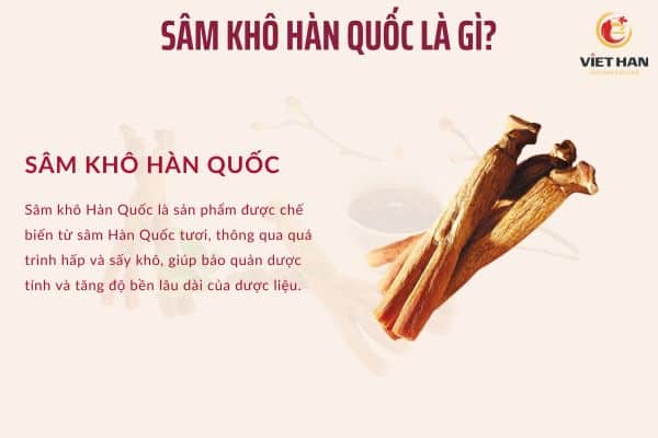 Sâm khô Hàn Quốc là gì