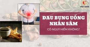 Đau bụng uống nhân sâm có nguy hiểm không? Giải mã sự thật về nhân sâm