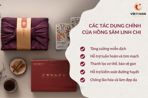 Hồng sâm linh chi có tác dụng gì