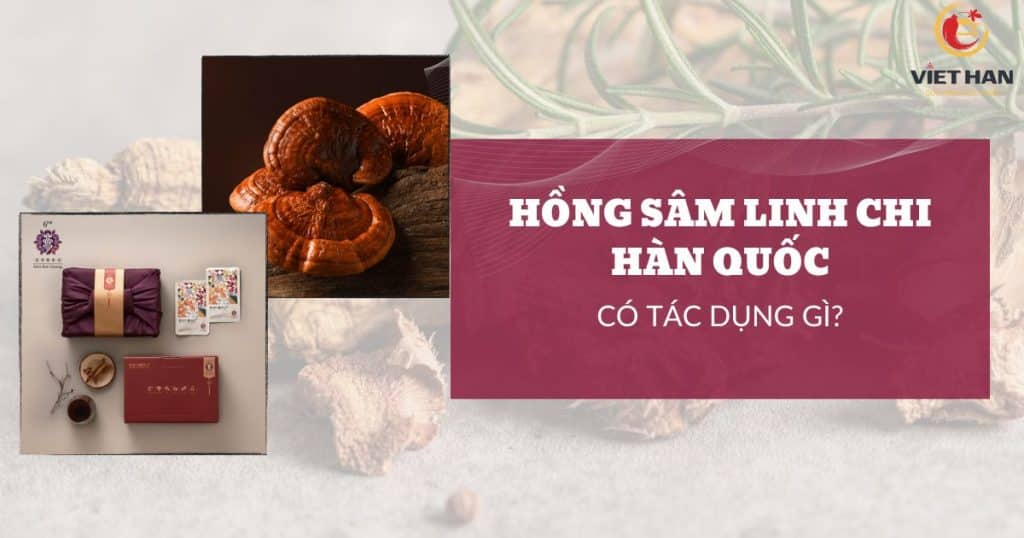 Hồng sâm linh chi có tác dụng gì