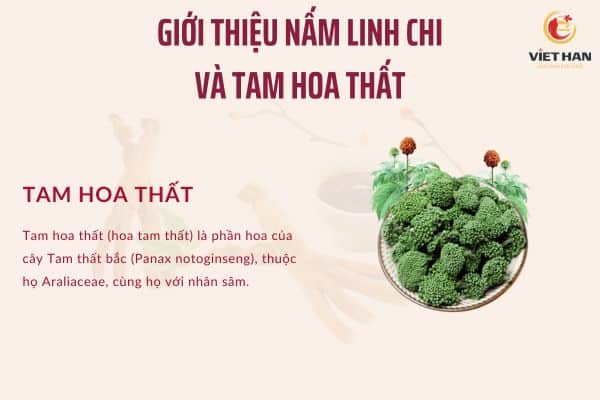 Tam hoa thất là gì