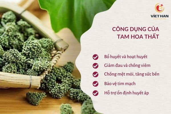 Công dụng của tam hoa thất