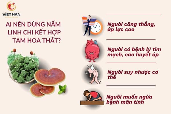 Những đối tượng nào nên sử dụng nấm linh chi kết hợp với tam hoa thất