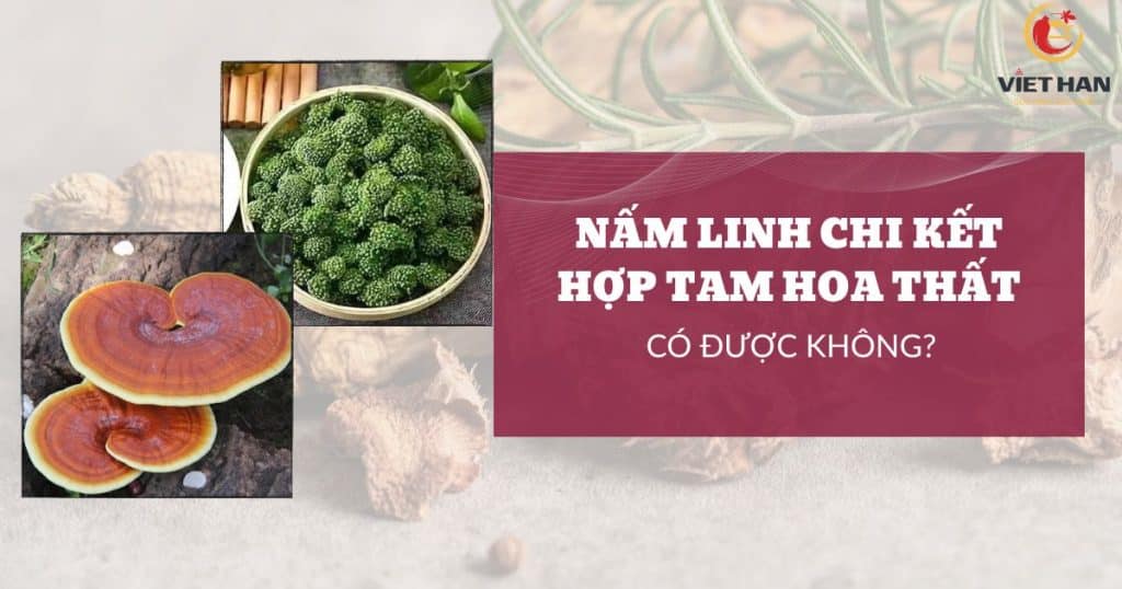Nấm linh chi kết hợp với tam hoa thất có được không? Dùng sao cho đúng?