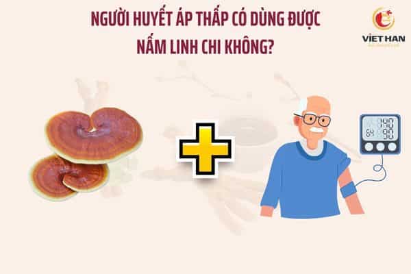Người huyết áp thấp có uống được nấm linh chi không?