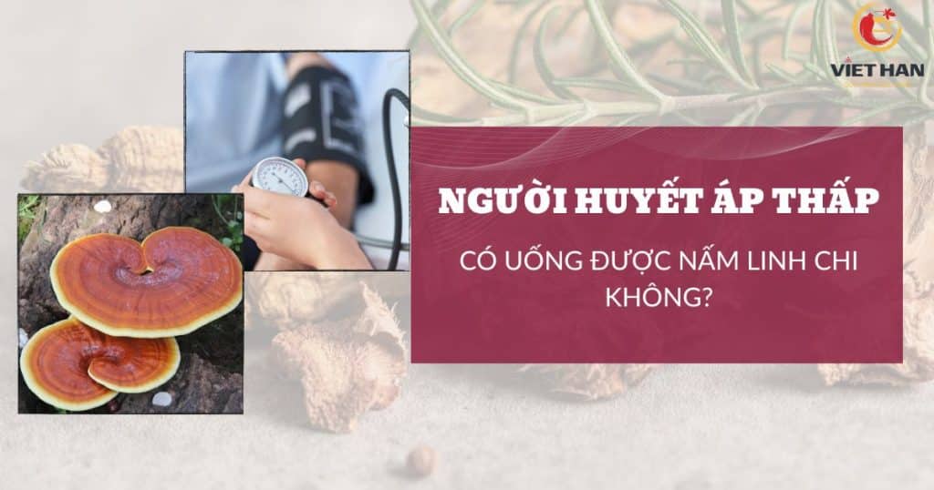Người huyết áp thấp có uống được nấm linh chi không? [Tư vấn]