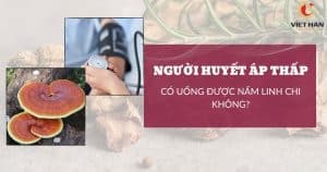 Người huyết áp thấp có uống được nấm linh chi không? [Tư vấn]