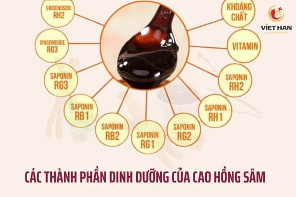 Thành phần dinh dưỡng có trong cao hồng sâm
