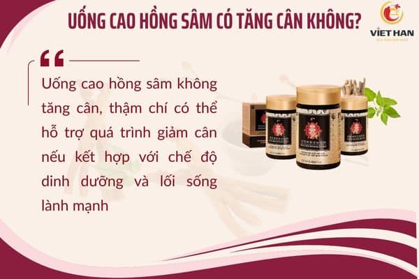Uống cao hồng sâm có tăng cân không
