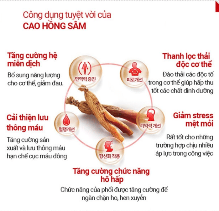 Tác dụng của cao hồng sâm Hàn Quốc