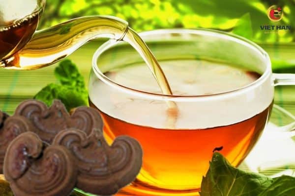 Cách sử dụng nấm linh chi để giảm cân an toàn, hiệu quả