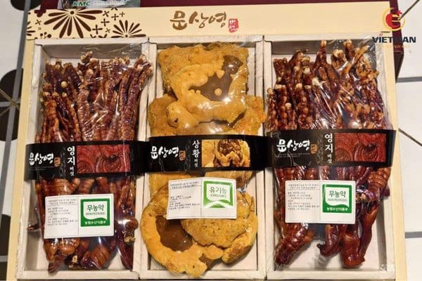 Nên chọn nấm linh chi nào để giảm cân