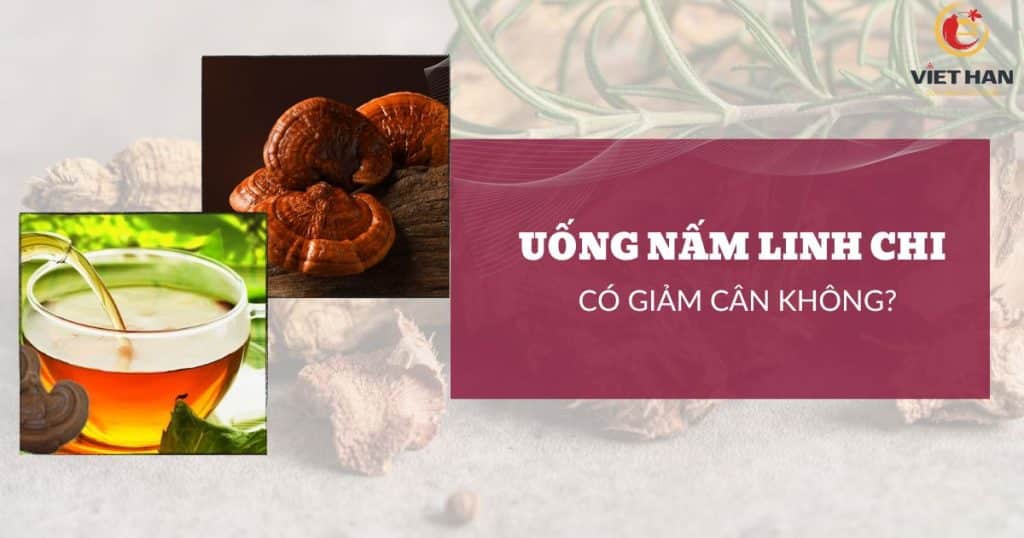 Uống nấm linh chi có giảm cân không? [ Tư vấn]