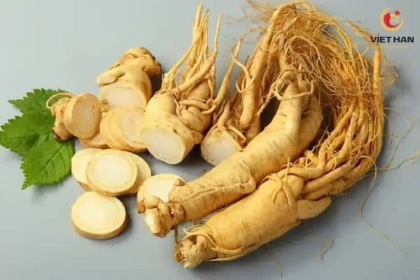 Đôi nét về nhân sâm