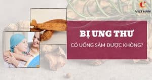 Bị ung thư có uống sâm được không?