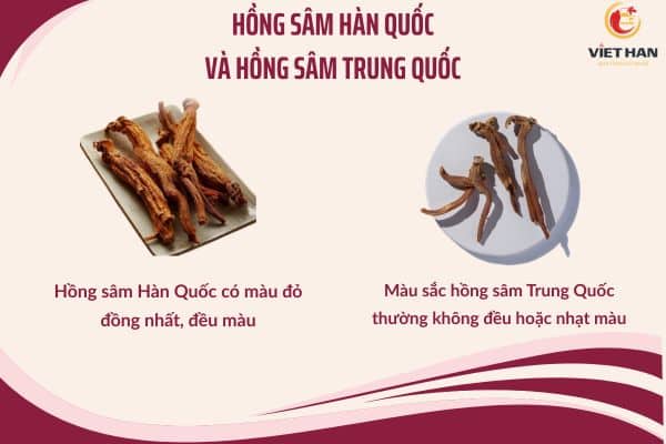 Cách phân biệt hồng sâm Hàn Quốc và Trung Quốc