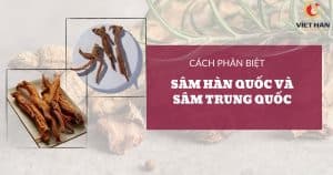 Cách phân biệt sâm Hàn Quốc và sâm Trung Quốc ít người biết