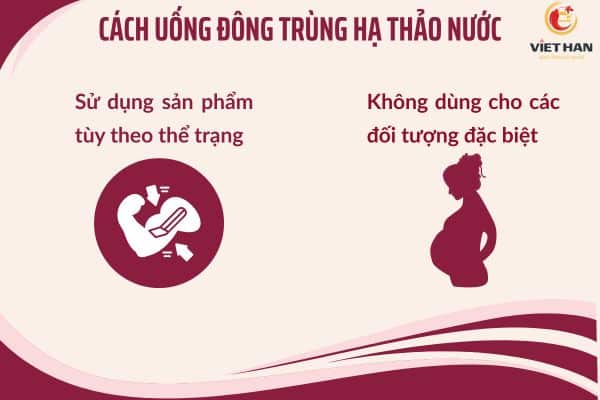 Cách uống đông trùng hạ thảo nước Hàn Quốc đúng khoa học