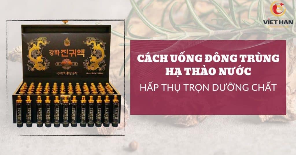 Cách uống đông trùng hạ thảo nước để hấp thụ trọn vẹn dưỡng chất