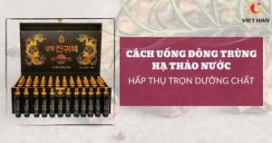 Cách uống đông trùng hạ thảo nước để hấp thụ trọn vẹn dưỡng chất