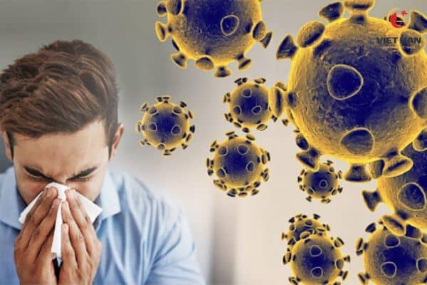 Một số lưu ý khi uống đông trùng hạ thảo