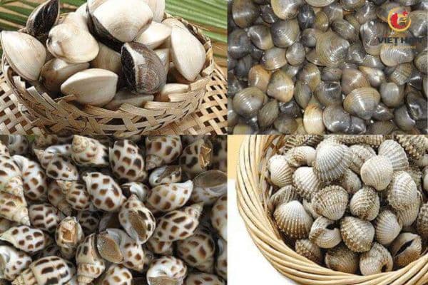 Không kết hợp đông trùng hạ thảo với một số thực phẩm không phù hợp