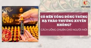 Có nên uống đông trùng hạ thảo thường xuyên không? Cách uống chuẩn cho người mới sử dụng
