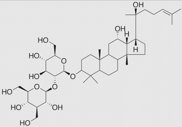 ginsenosides là gì