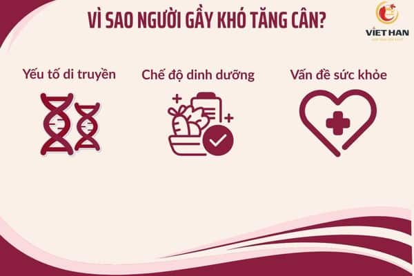 Vì sao người gầy khó tăng cân