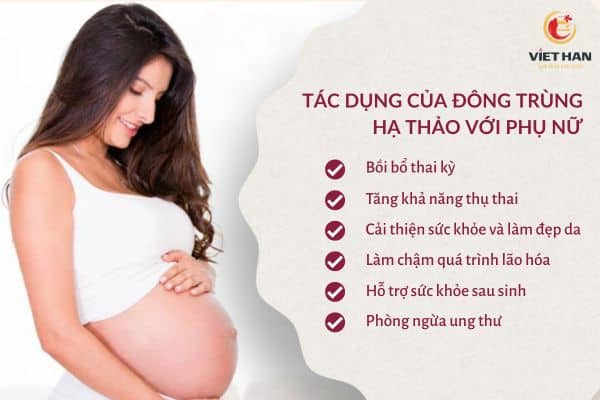 Đông trùng hạ thảo có tác dụng gì đối với phụ nữ