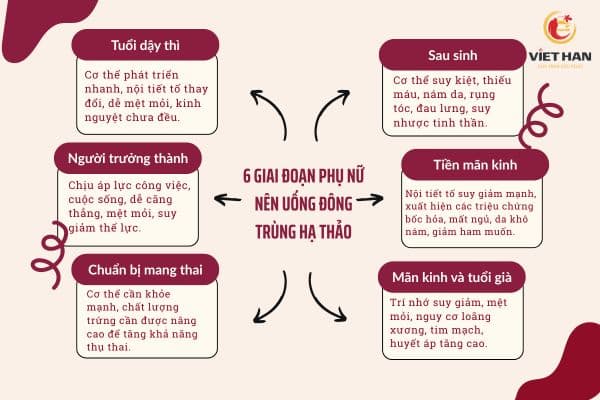 6 giai đoạn phụ nữ nên dùng đông trùng hạ thảo