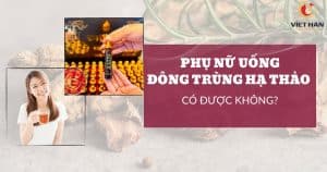 Phụ nữ uống đông trùng hạ thảo có tốt không?