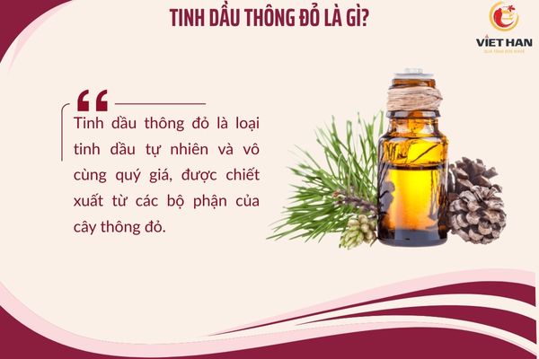 Tinh dầu thông đỏ là gì