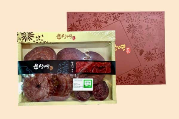 Hộp nấm linh chi đỏ Hàn Quốc là món quà tặng cao cấp, thích hợp để bạn biếu bố mẹ chồng tương lai dịp Tết Bính Ngọ 2026